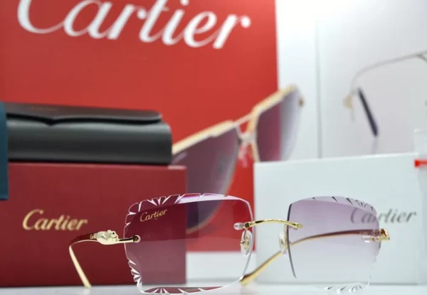 Cartier Glasses Purple Shade