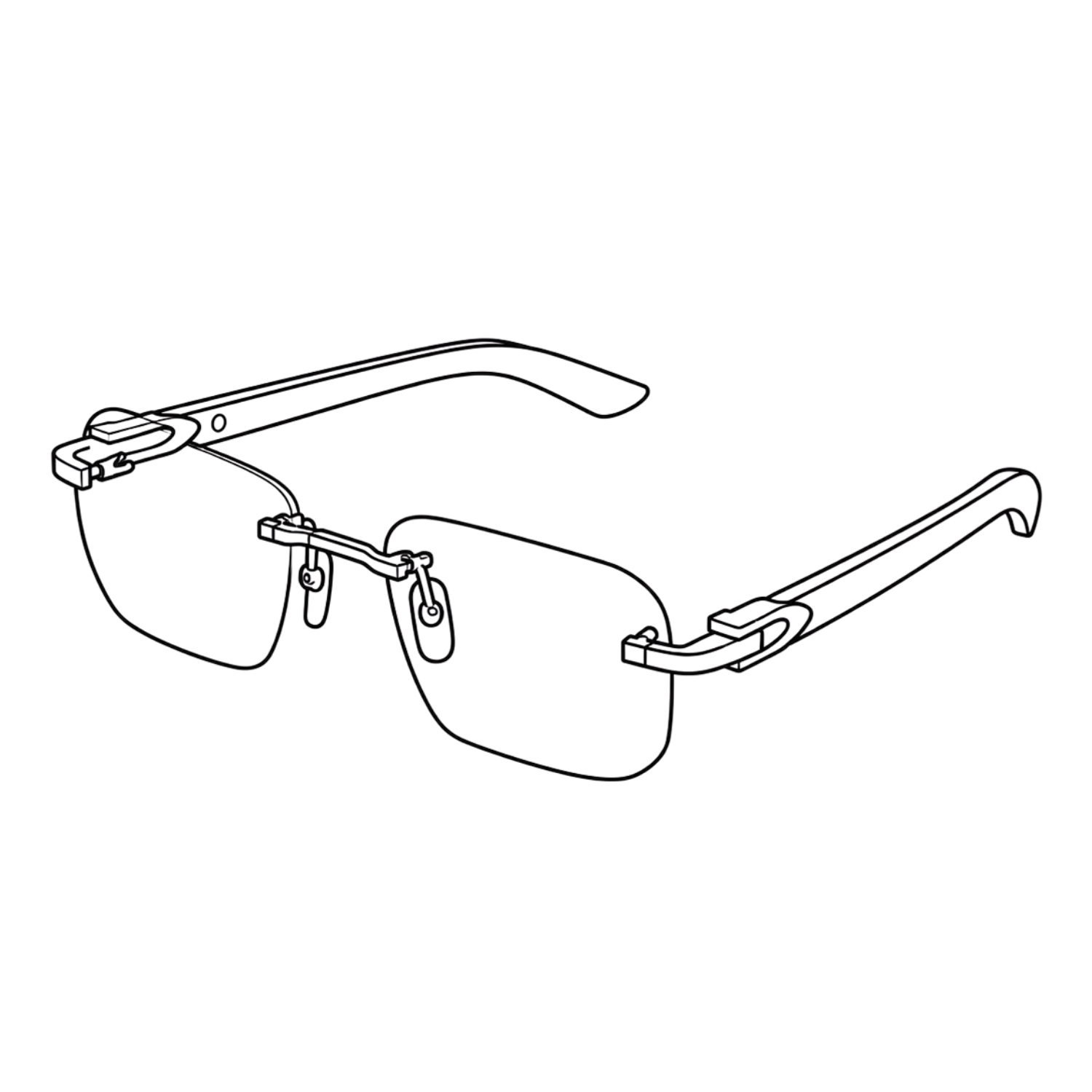 Glasses