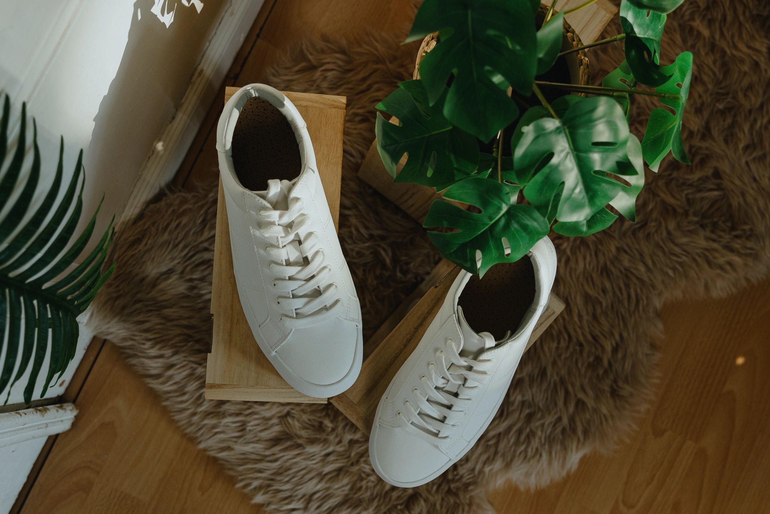Sneakers displayed in a stylish boutique setting