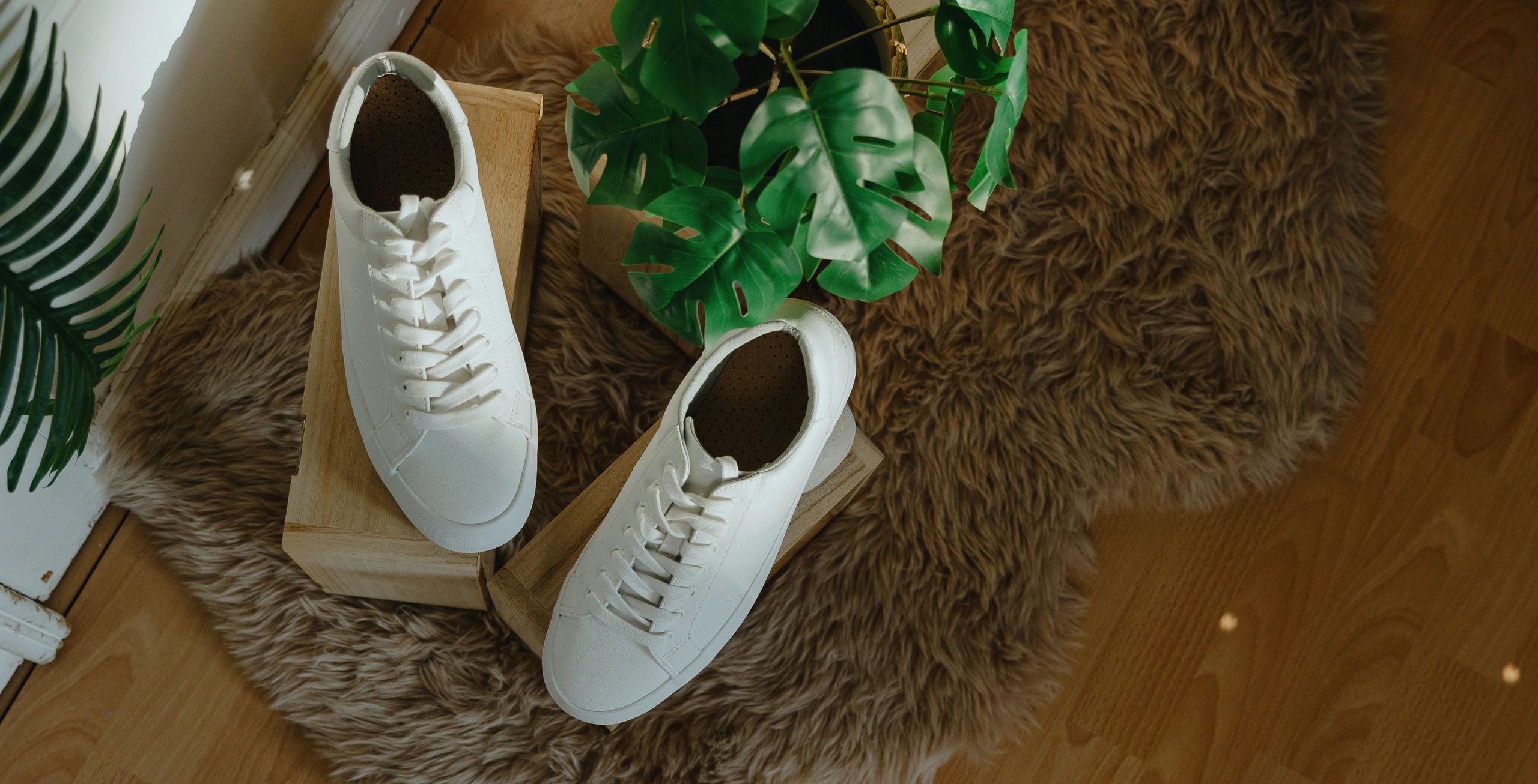 Sneakers displayed in a bright retail setting